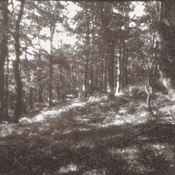 Pinhole image