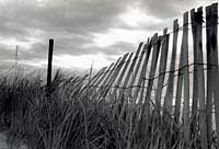 Fence, Cape May